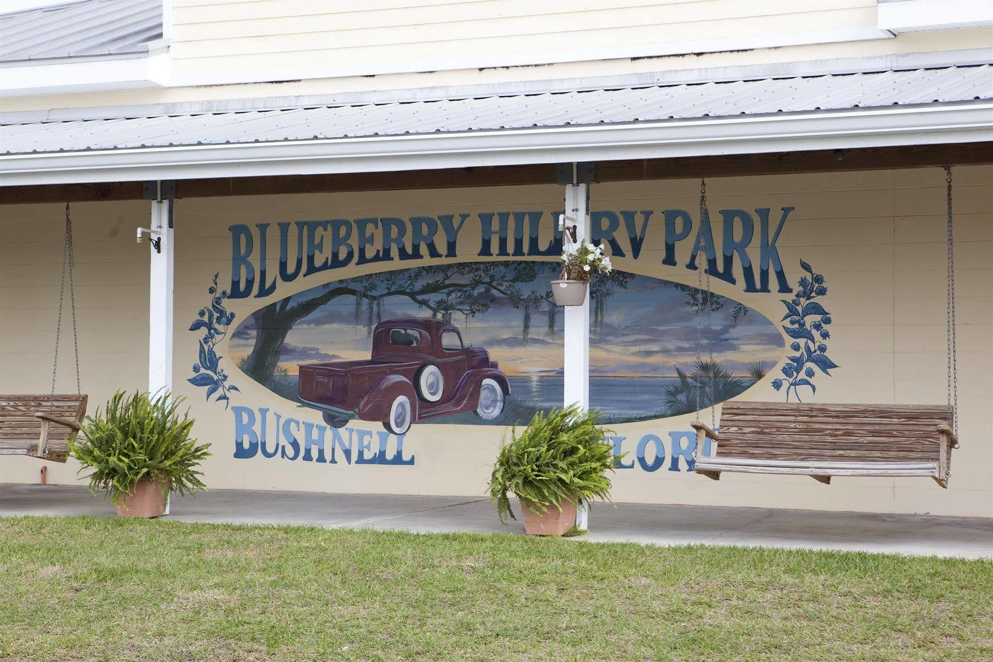 הוילה Bushnell Blueberry Hill מראה חיצוני תמונה